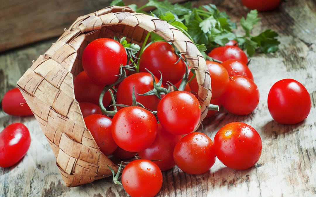 Det britiske selskapet Provexis kjøper rettigheter til tomatteknologi